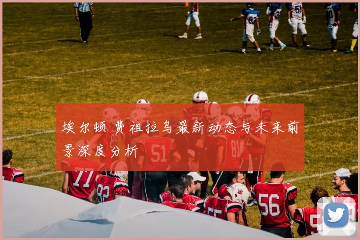 埃尔顿 费祖拉乌最新动态与未来前景深度分析