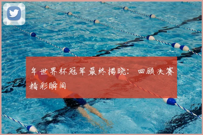 年世界杯冠军最终揭晓：回顾决赛精彩瞬间