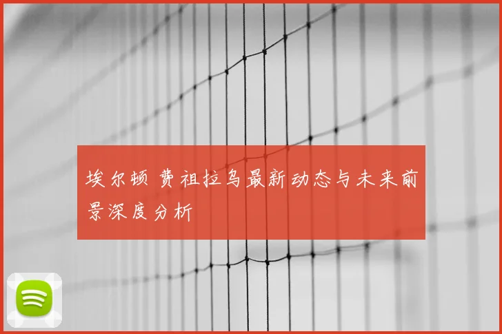 埃尔顿 费祖拉乌最新动态与未来前景深度分析