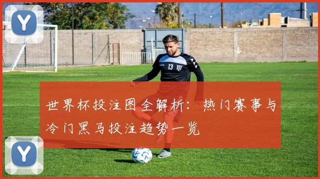 世界杯投注图全解析：热门赛事与冷门黑马投注趋势一览