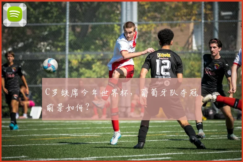 C罗缺席今年世界杯，葡萄牙队夺冠前景如何？