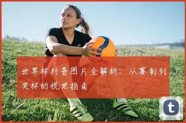 世界杯科普图片全解析：从赛制到奖杯的视觉指南