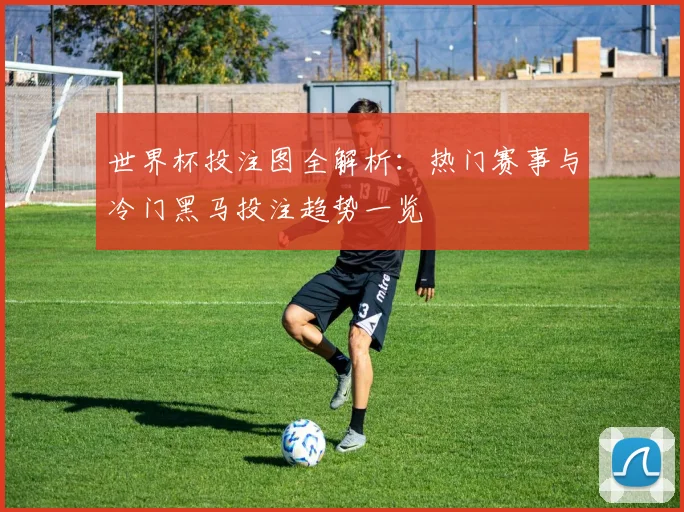 世界杯投注图全解析：热门赛事与冷门黑马投注趋势一览