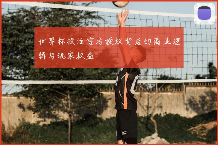 世界杯投注官方授权背后的商业逻辑与玩家权益