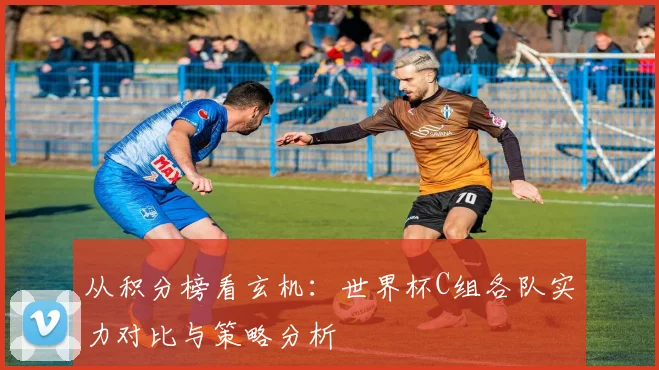 从积分榜看玄机：世界杯C组各队实力对比与策略分析