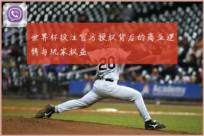 世界杯投注官方授权背后的商业逻辑与玩家权益