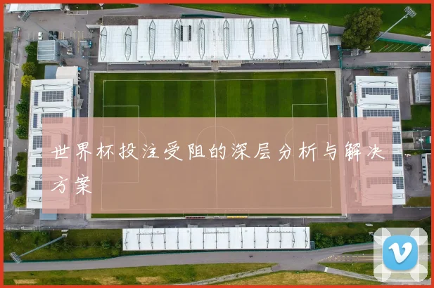 世界杯投注受阻的深层分析与解决方案