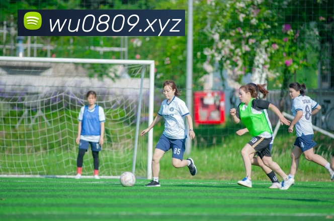 k1体育app官网登录全站App